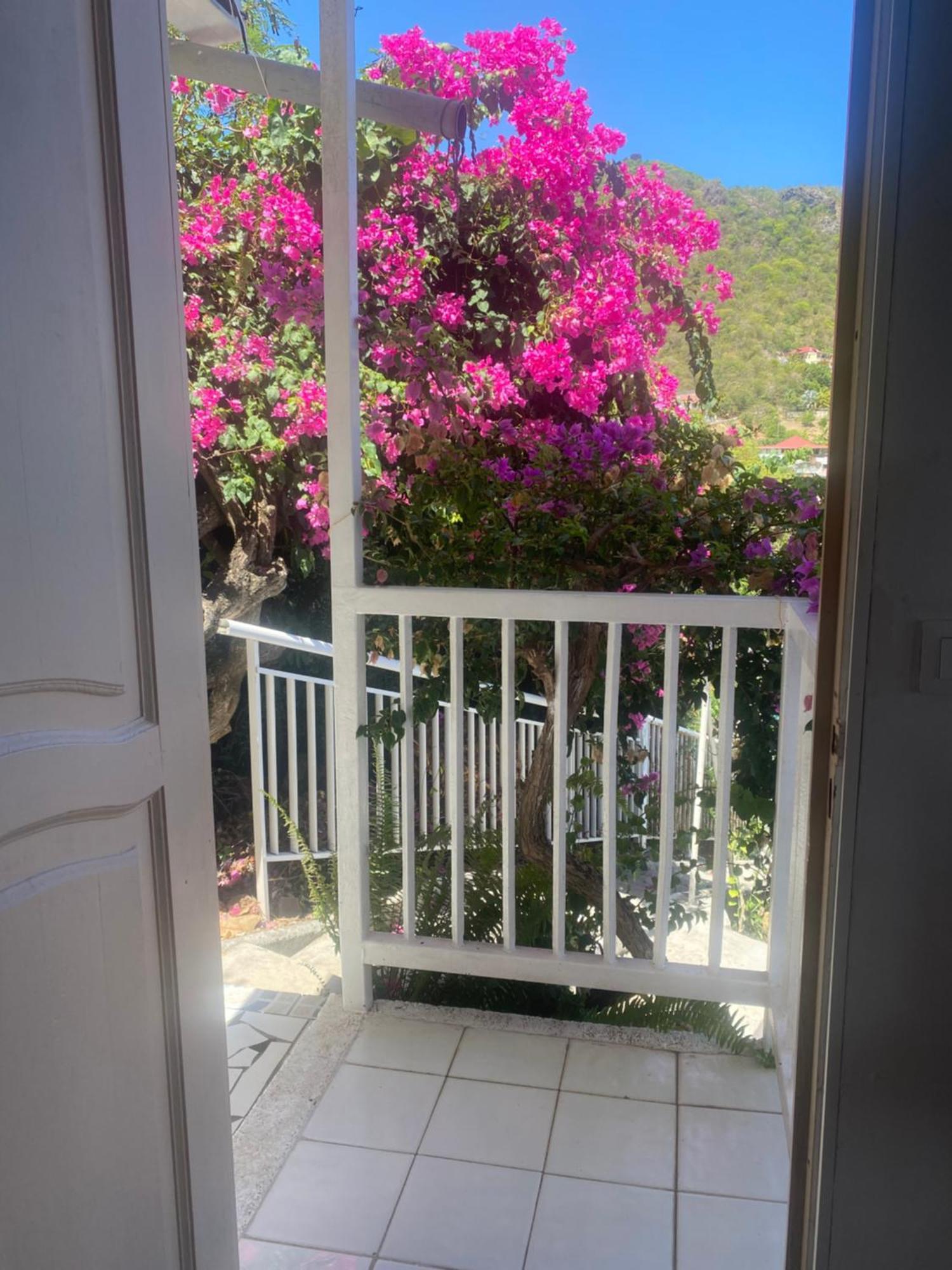 Ferienwohnung La Sucriere Terre-De-Haut Exterior foto